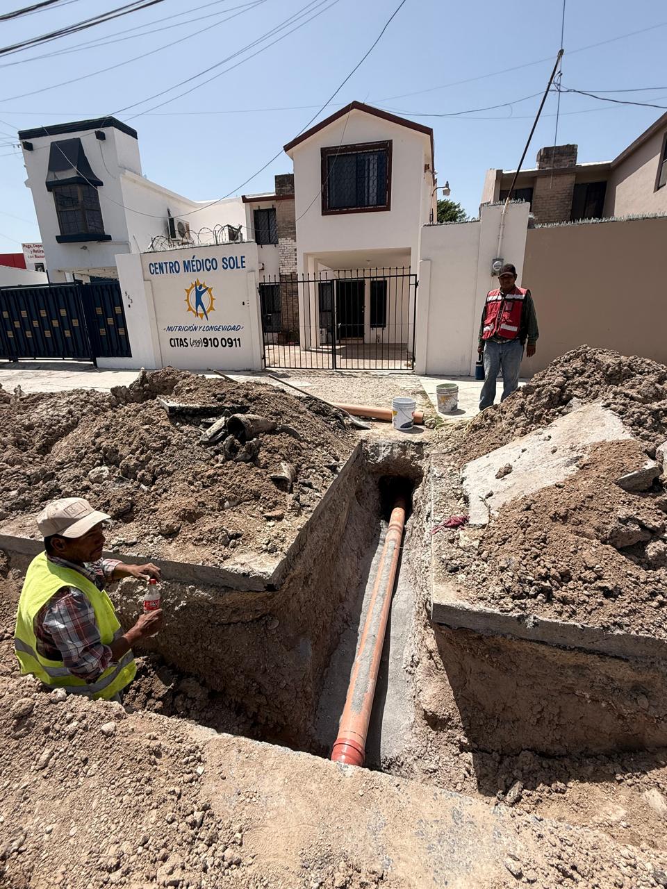 Imagen de la obra